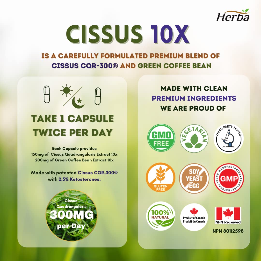buy cissus capsules made in Canada