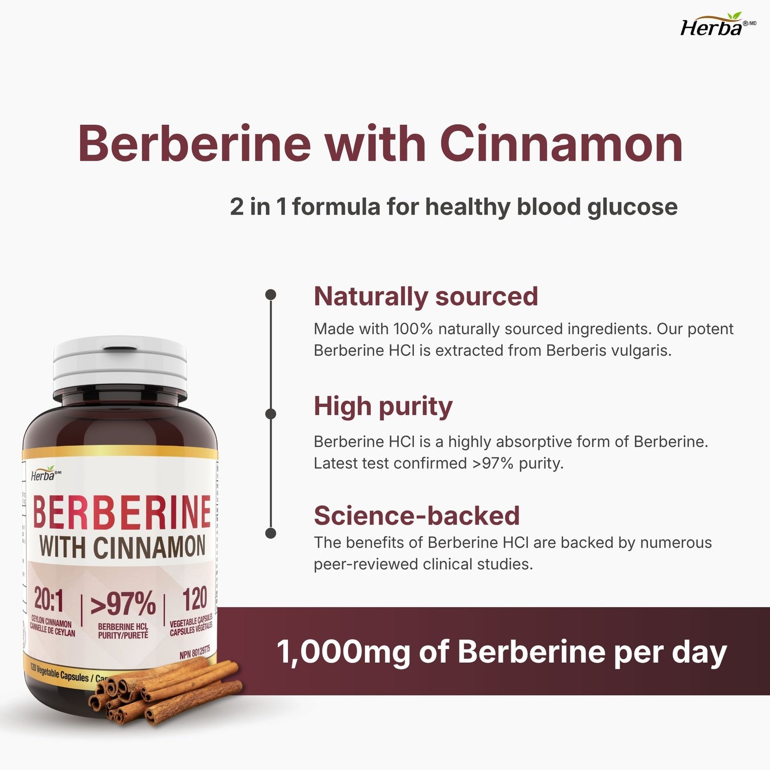Supplément de Berbérine à la Cannelle de Ceylan – 120 Gélules | Bérberine 1000mg (par portion) | Fabriqué au Canada
