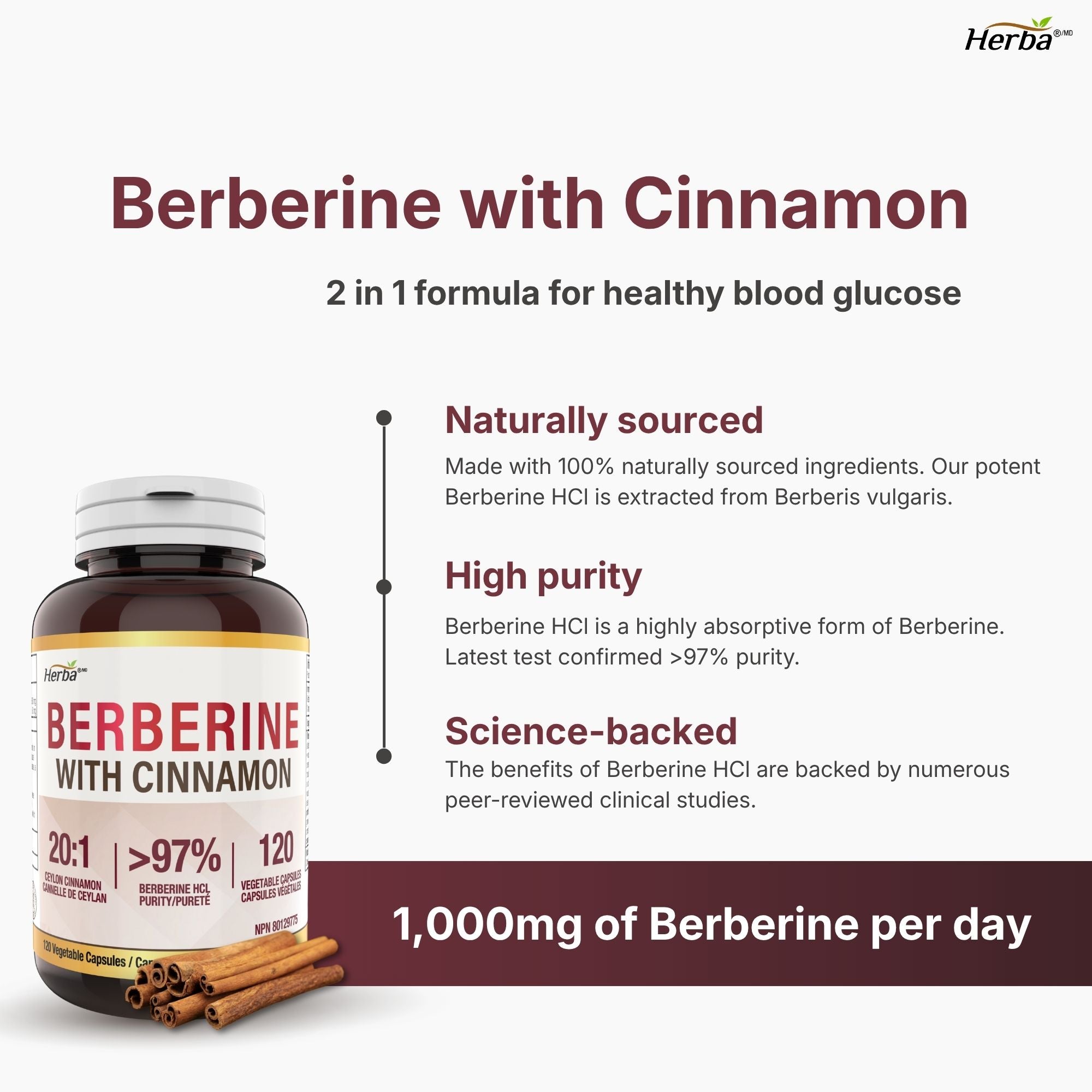 Supplément de Berbérine à la Cannelle de Ceylan – 120 Gélules | Bérberine 1000mg (par portion) | Fabriqué au Canada