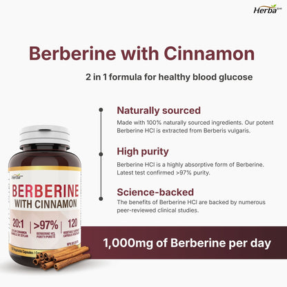 Supplément de Berbérine à la Cannelle de Ceylan – 120 Gélules | Bérberine 1000mg (par portion) | Fabriqué au Canada