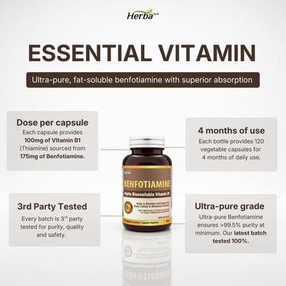 Benfotiamine 100mg - 120 capsules | Vitamine B1 liposoluble | Fabriqué au Canada