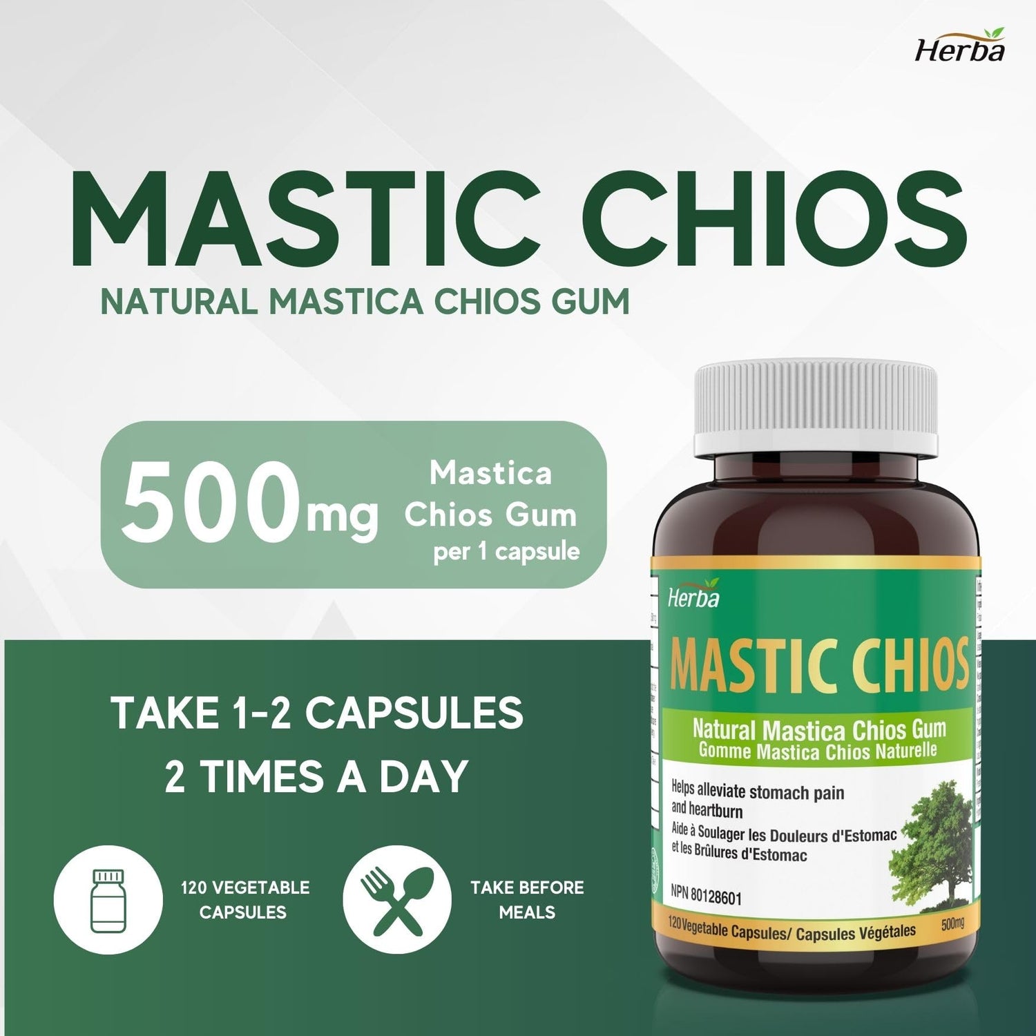 Herba Mastic Gum 500mg - 120 Capsules | Made in Canada