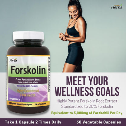 Herba Forskolin Supplements - 125mg, 60 Vegetable Capsules- Forskolin Extract for Weight Loss
