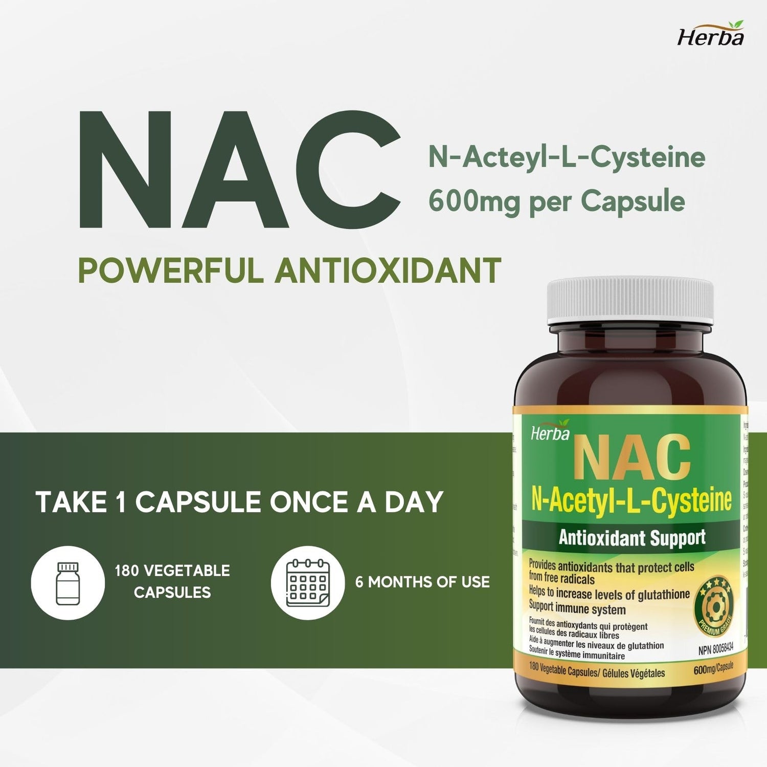 Herba NAC Supplement 600 mg - 180 Capsules | N-Acetyl-L-Cysteine