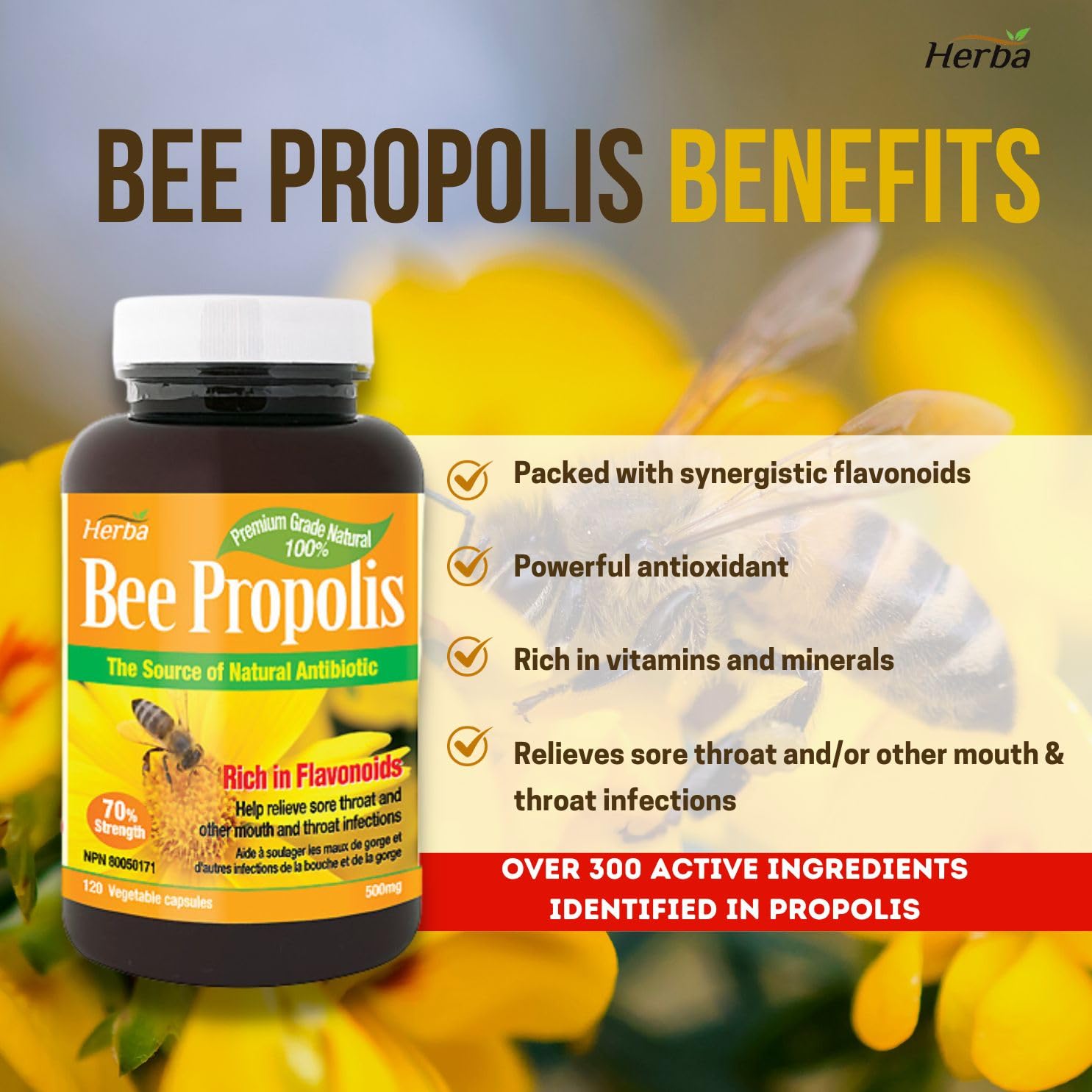 Herba Bee Propolis Capsules 500mg - 120 Capsules
