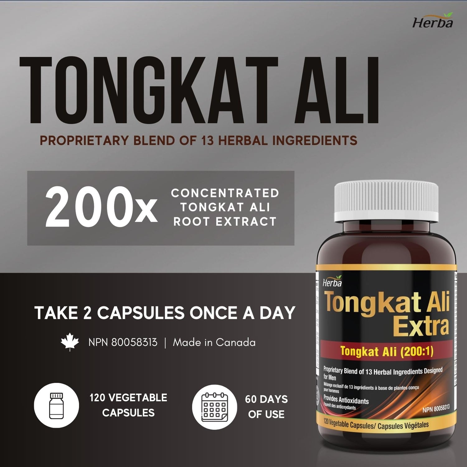 Herba Tongkat Ali Capsules 200:1 – 120 Vegetable Capsules | 10,000mg Raw Tongkat Ali Equivalent