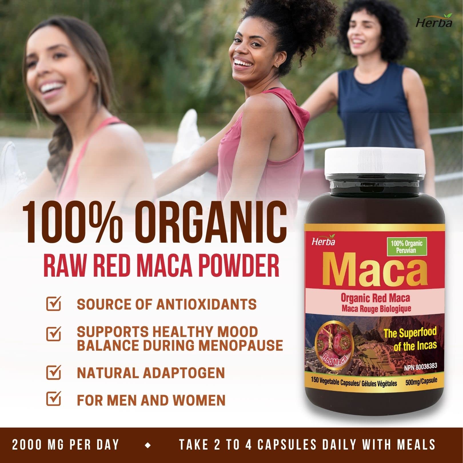 Herba Organic Red Maca Capsules for Women – 500mg, 150 Capsules