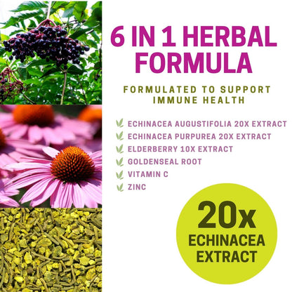 Herba Echinacea Capsules – 60 Vegetable Capsules | 4500mg of Echinacea Per Day