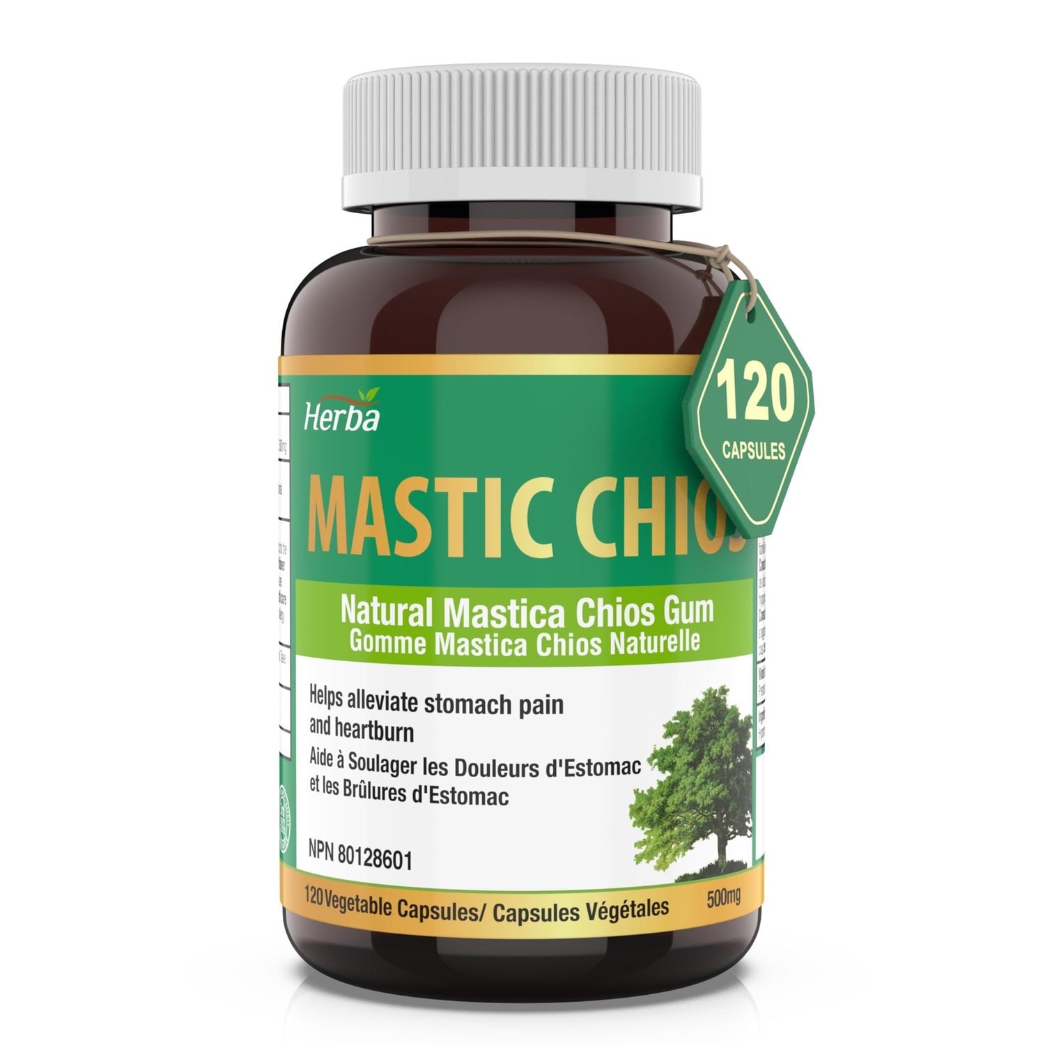 Herba Mastic Gum 500mg - 120 Capsules | Made in Canada