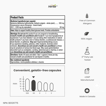 Supplément de Berbérine à la Cannelle de Ceylan – 120 Gélules | Bérberine 1000mg (par portion) | Fabriqué au Canada