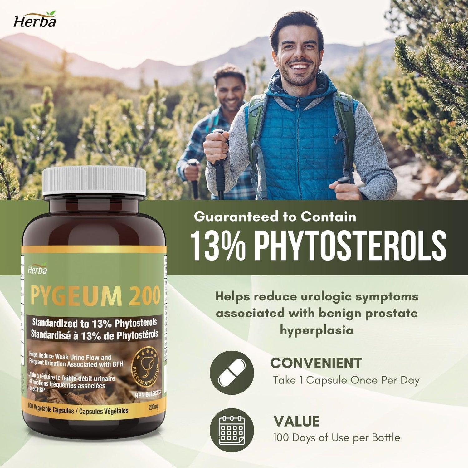Herba Pygeum Supplement 200mg – 100 Capsules