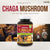 Herba Chaga Mushroom Capsules 400mg - 120 Vegetable Capsules | 4:1 High Concentrate