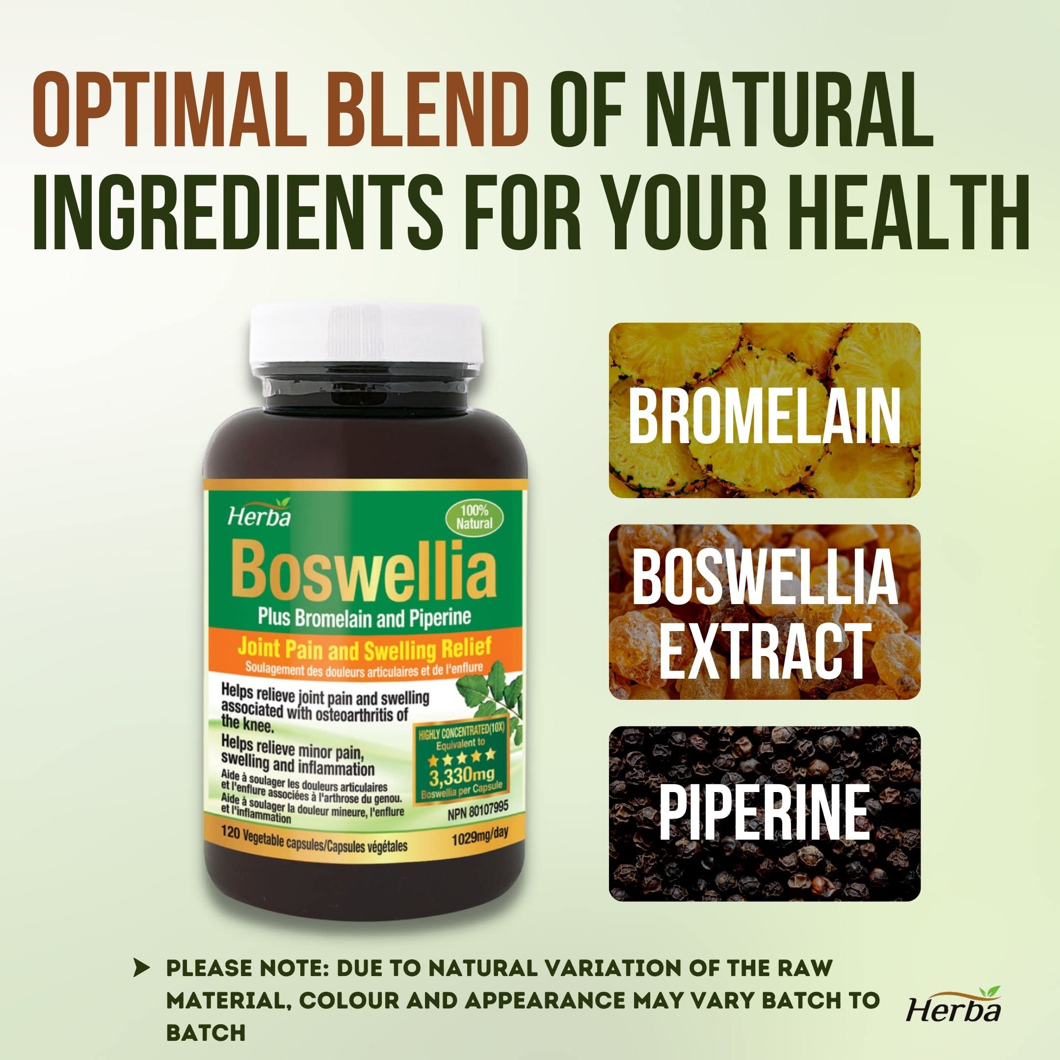 Herba Boswellia Serrata Capsules with Bromelain Supplement - 120 Capsules
