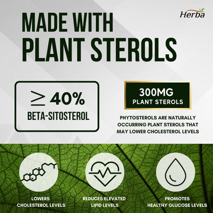Herba Cholesterol Care – 120 Vegetable Capsules