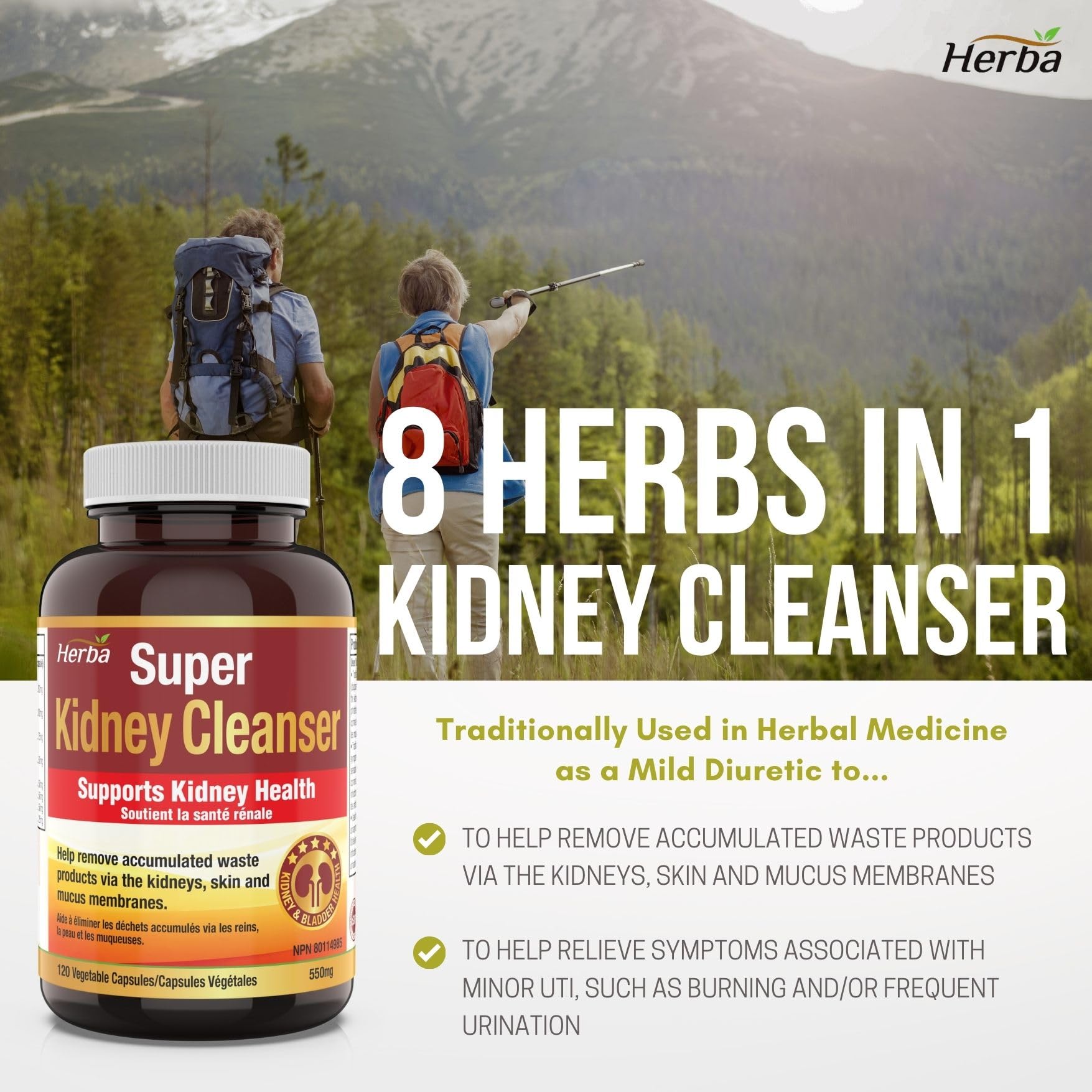 Herba Kidney Cleanse Supplement – 120 Capsules | 8 Natural Ingredients to Detox and Support Kidney and Bladder Health
