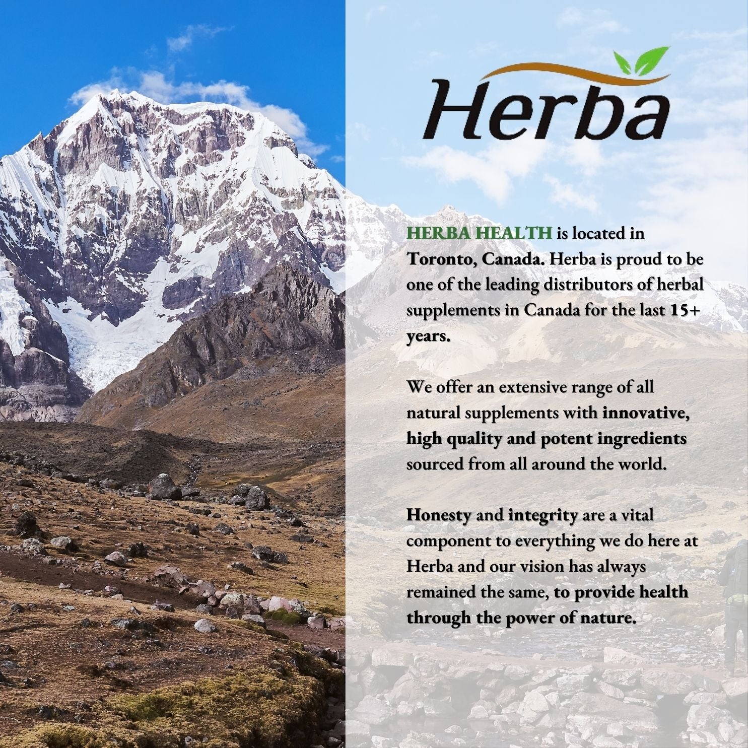 Herba Tart Cherry Extract Capsules – 120 Capsules | 10,000mg Per Day