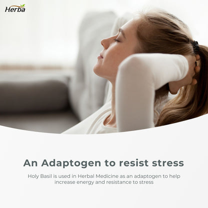 Organic Holy Basil Capsules – 350mg | 120 Vegetable Capsules