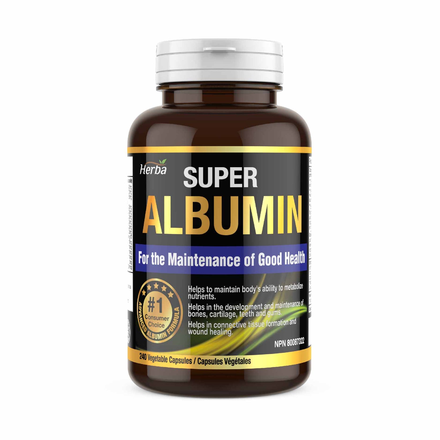 Albumin Protein Supplement – 240 Vegetable Capsules | Albumin Capsules with 16 Premium Ingredients