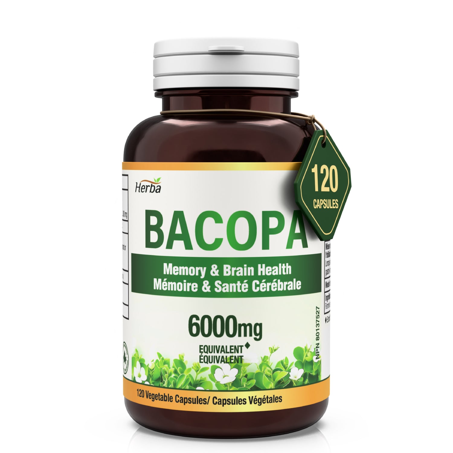 Bacopa Monnieri Supplement – 120 Capsules | 300mg, 20:1 Extract - 6,000mg Equivalent | Made in Canada