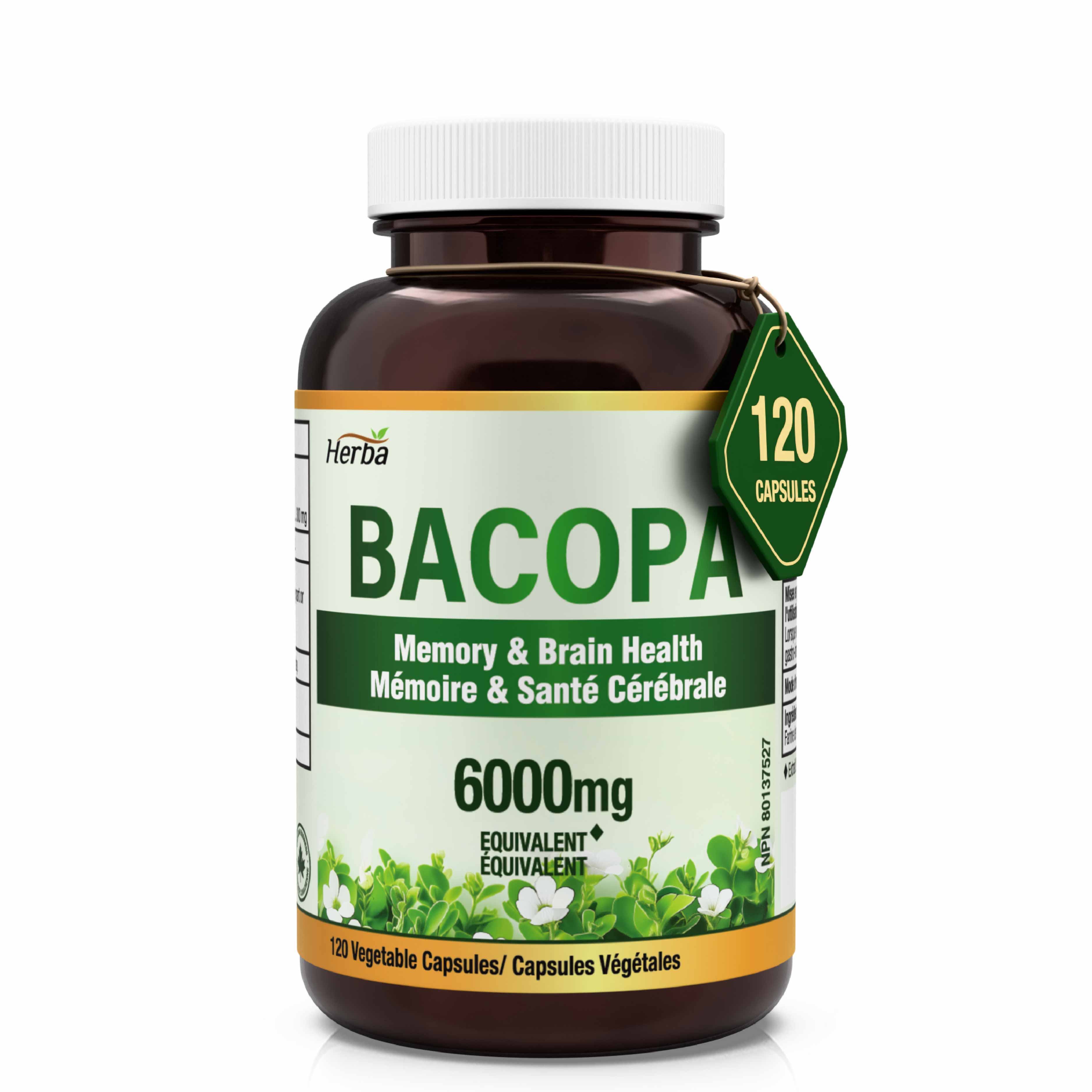 Bacopa Monnieri Supplement – 120 Capsules | 300mg, 20:1 Extract - 6,000mg Equivalent | Made in Canada