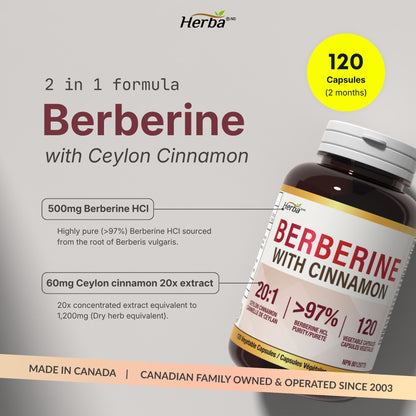 Supplément de Berbérine à la Cannelle de Ceylan – 120 Gélules | Bérberine 1000mg (par portion) | Fabriqué au Canada