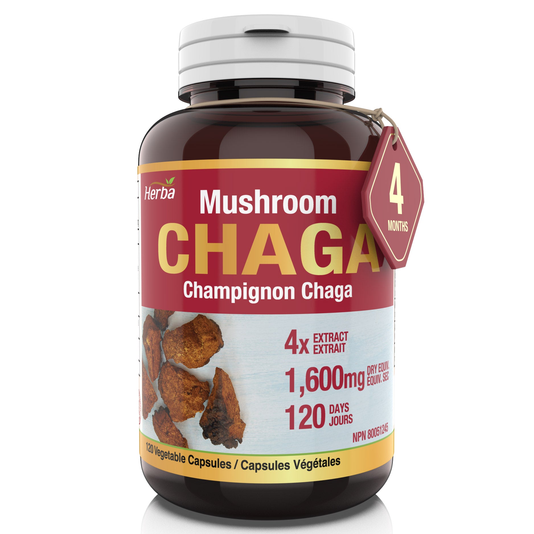 Gélules de champignon Chaga 400 mg - 120 gélules végétales | Concentré élevé 4:1