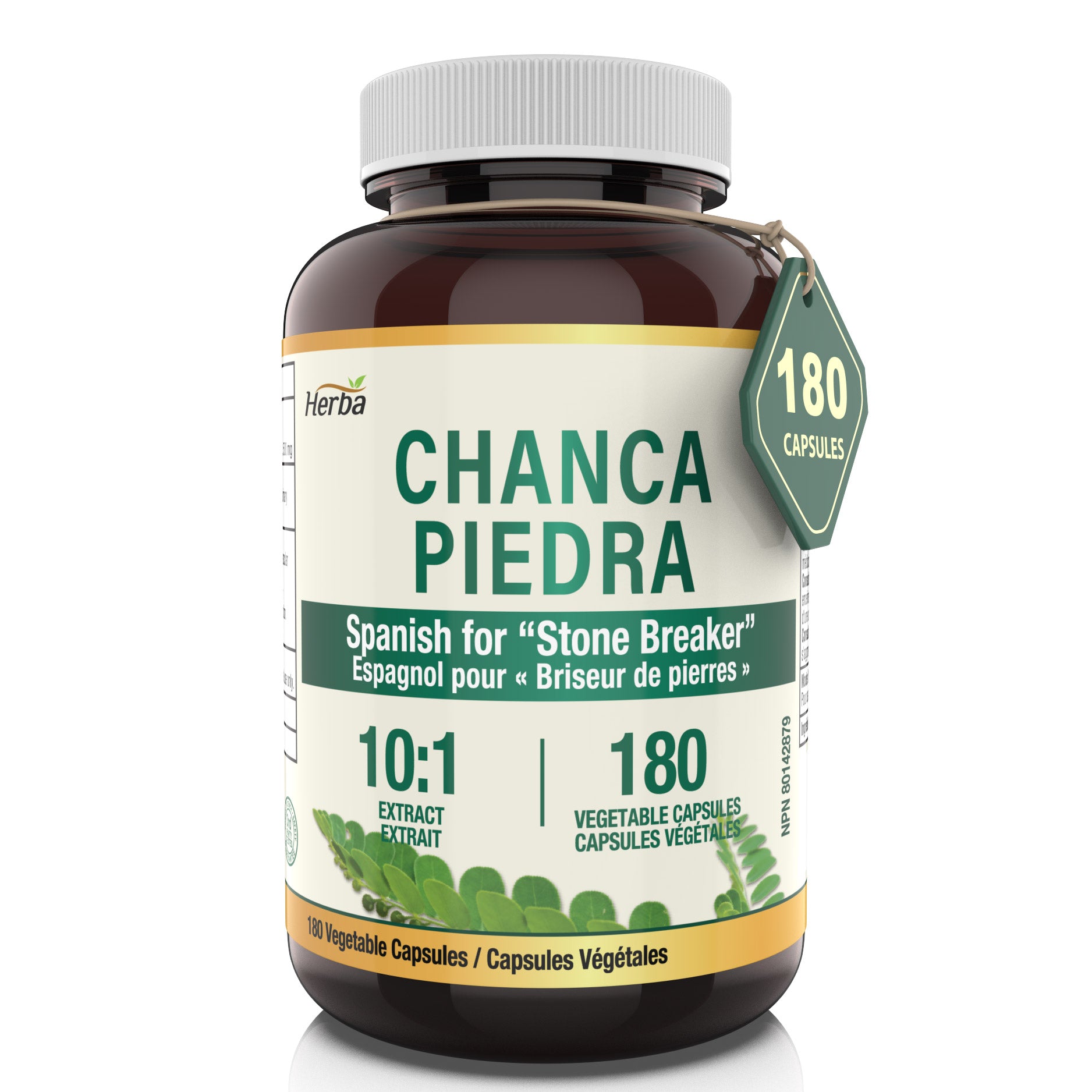Chanca Piedra Extract - 180 Capsules | 5,000mg Equivalent | 10:1 Extract from 500mg | Made in Canada