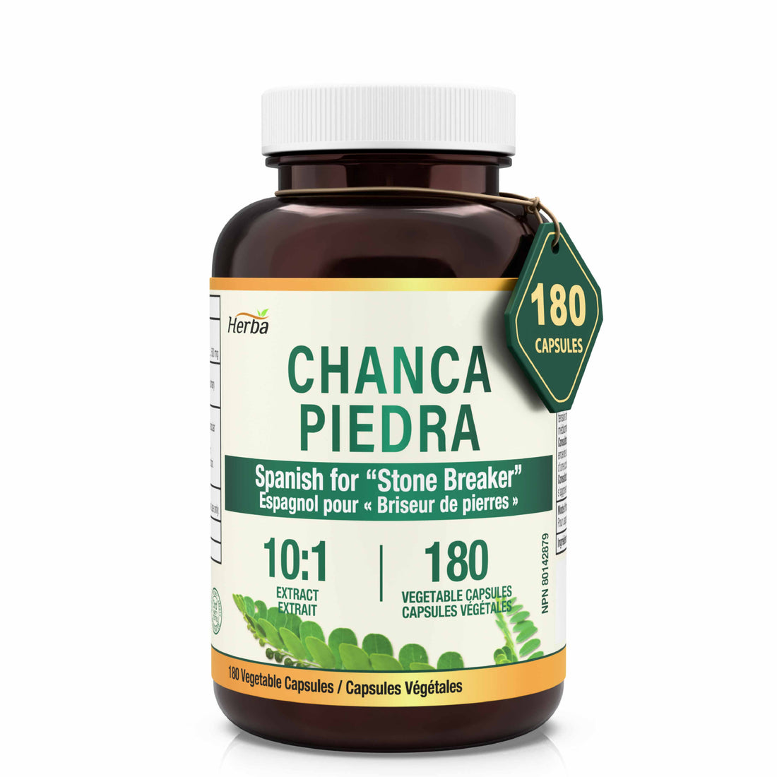 Chanca Piedra Extract - 180 Capsules | 5,000mg Equivalent | 10:1 Extract from 500mg | Spanish for &quot;Stone Breaker&quot; | Made in Canada