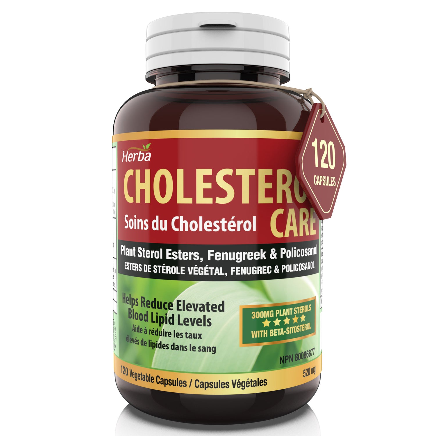 Cholesterol Care – 120 Vegetable Capsules