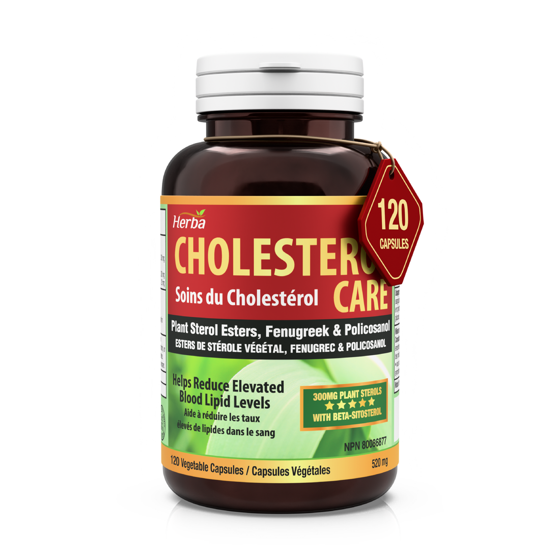 Soin Cholestérol – 120 Gélules Végétales