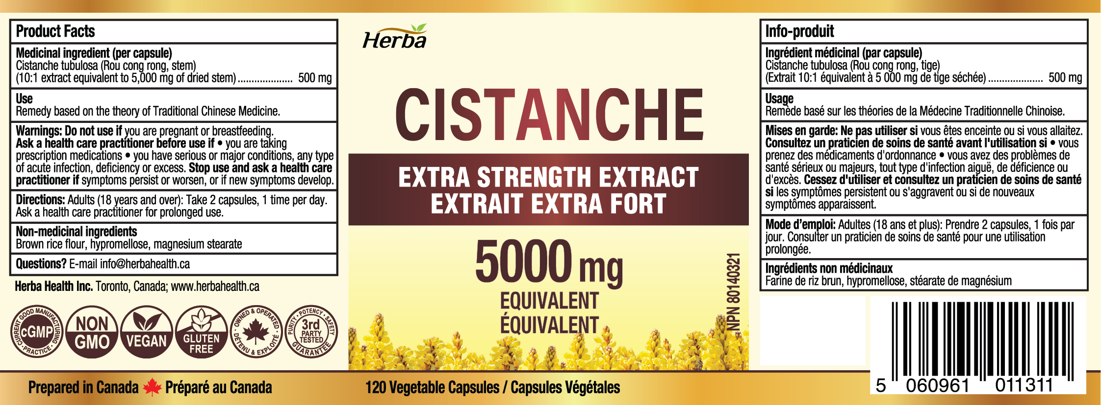 Herba Cistanche Tubulosa Capsules – 120 Capsules | 5,000mg Equivalent | 10: 1 Extract | Made in Canada