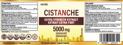 Herba Cistanche Tubulosa Capsules – 120 Capsules | 5,000mg Equivalent | 10: 1 Extract | Made in Canada