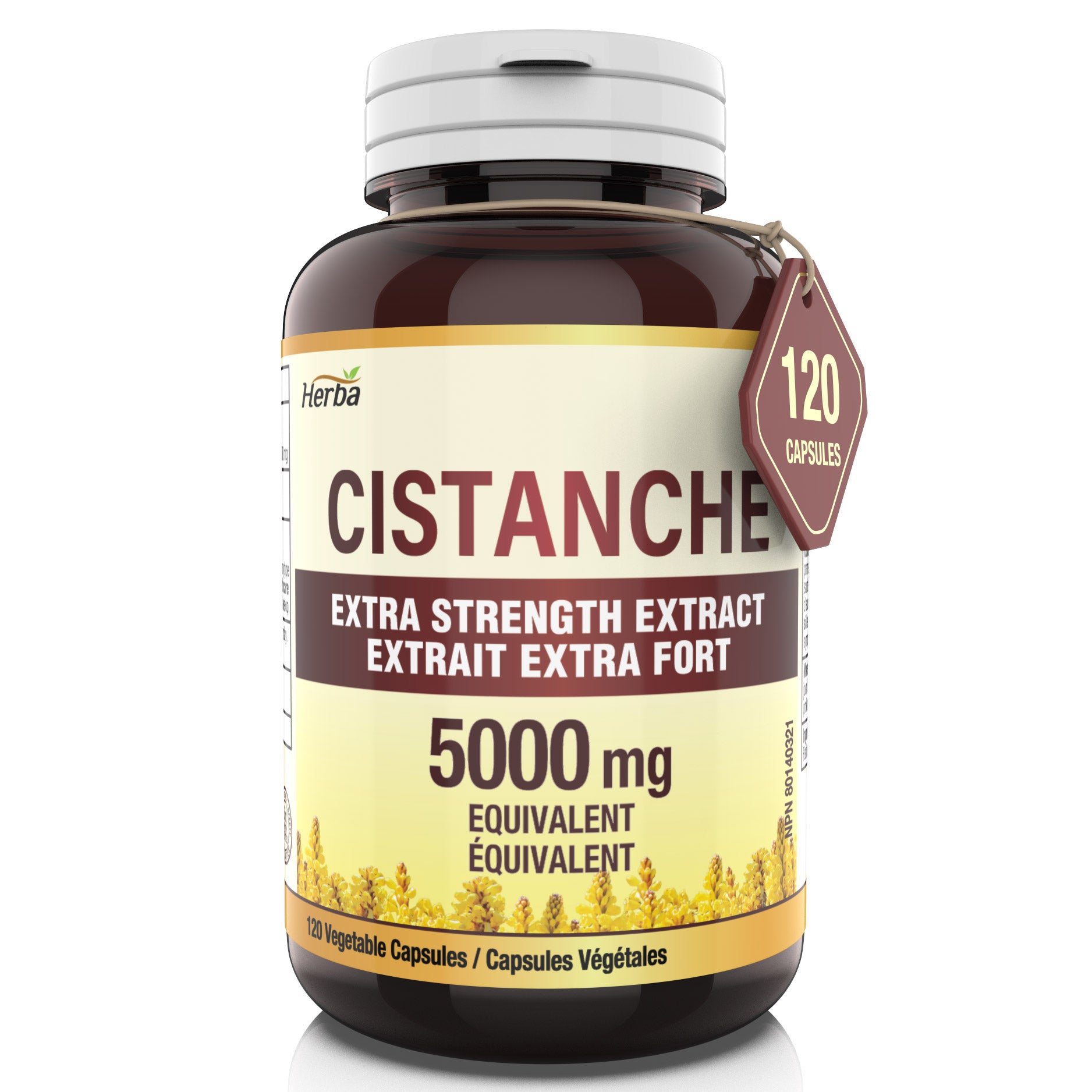 Capsules de Cistanche Tubulosa – 120 Capsules | 5 000 mg Équivalent | Extrait 10:1 | Fabriqué au Canada