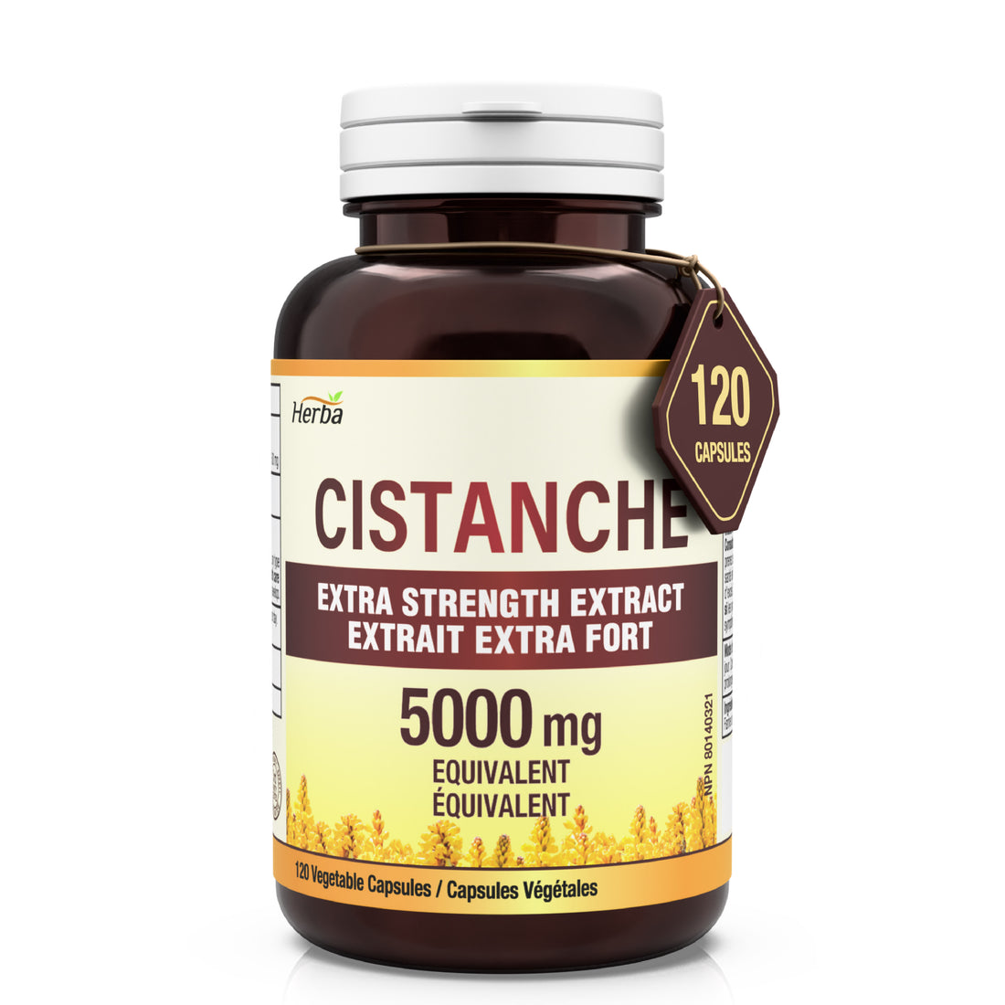 Herba Cistanche Tubulosa Capsules – 120 Capsules | 5,000mg Equivalent | 10: 1 Extract | Made in Canada