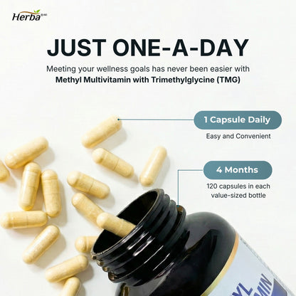 Multivitamine méthylée avec TMG et complexe B méthylé complet - 120 capsules | Formule 15 en 1 | Fabriqué au Canada