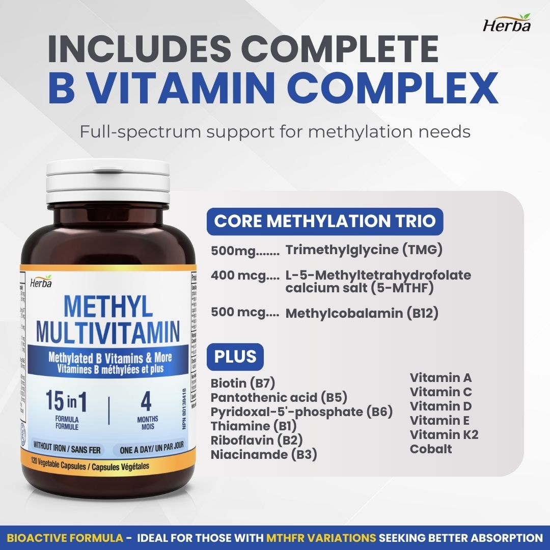Methylated Multivitamin with TMG &amp; Full Methylated B Complex - 120 Capsules | 15 in 1 Formula | Made in Canada