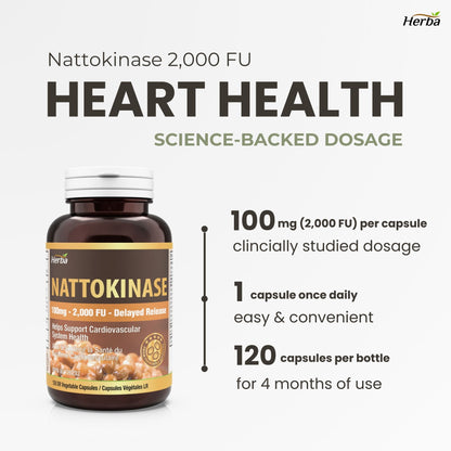 Nattokinase Supplement 2000 FU – 100mg, 120 Delayed Release Capsules