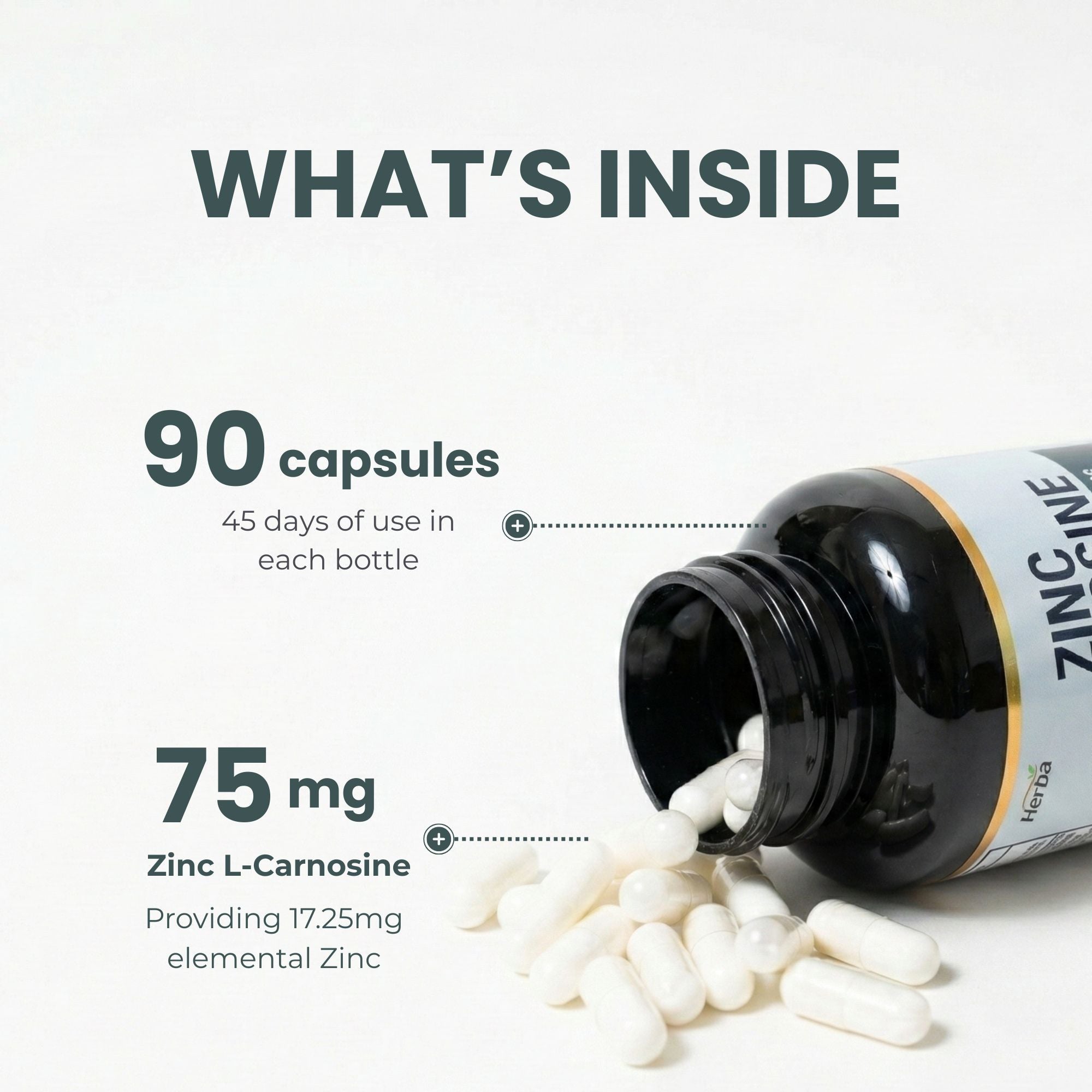 Zinc Carnosine Supplement – 90 Capsules | 150mg Per Serving (75mg Per Capsules) | Made in Canada