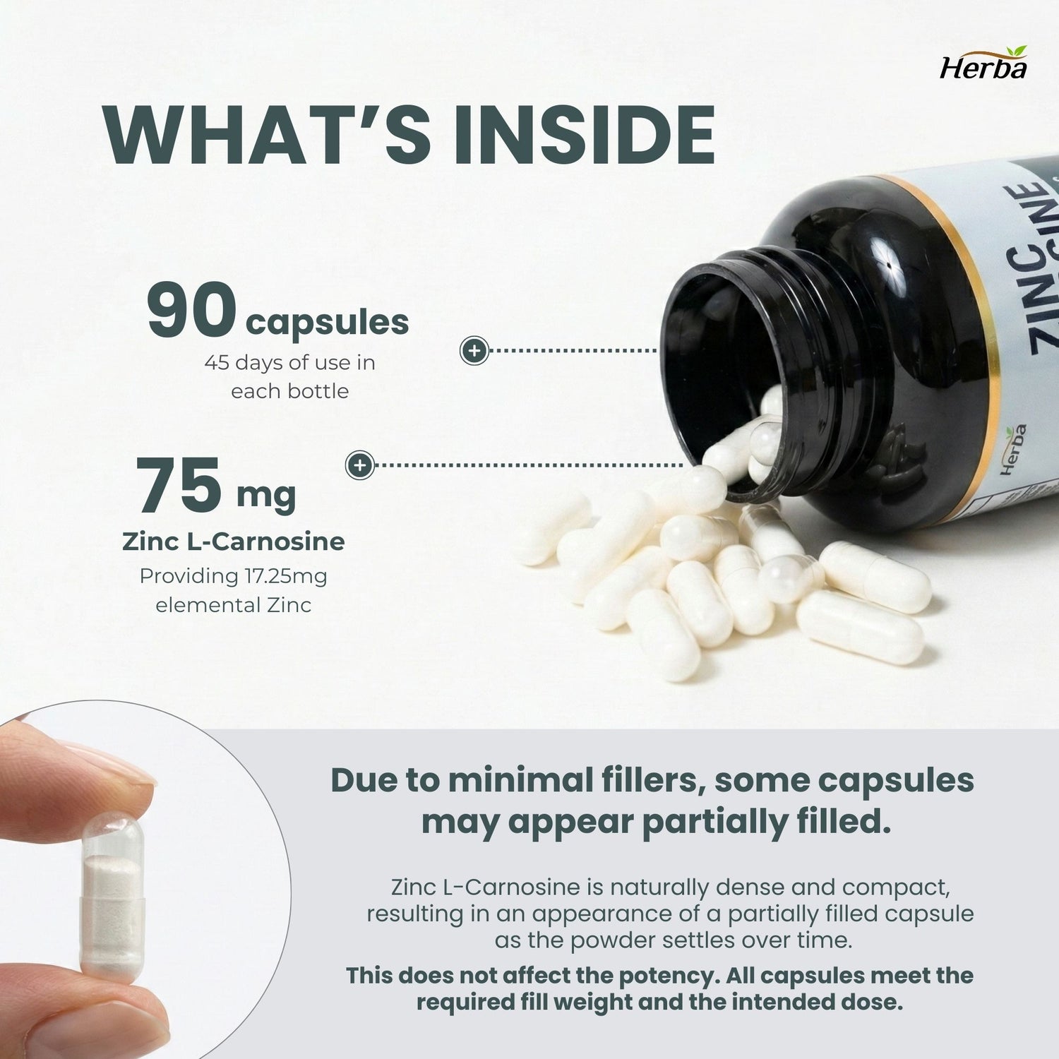 Zinc Carnosine Supplement – 90 Capsules | 150mg Per Serving (75mg Per Capsules) | Made in Canada