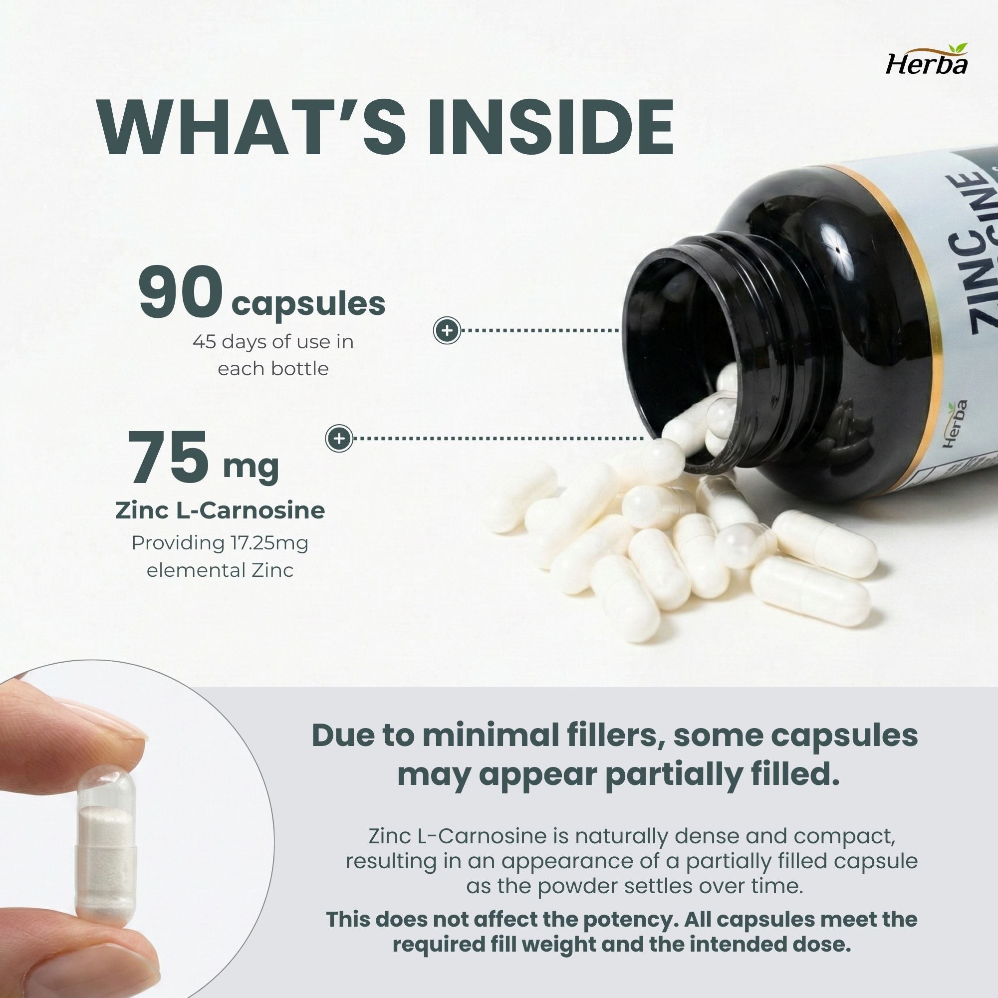 Zinc Carnosine Supplement – 90 Capsules | 150mg Per Serving (75mg Per Capsules) | Made in Canada