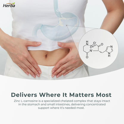 Zinc Carnosine Supplement – 90 Capsules | 150mg Per Serving (75mg Per Capsules) | Made in Canada