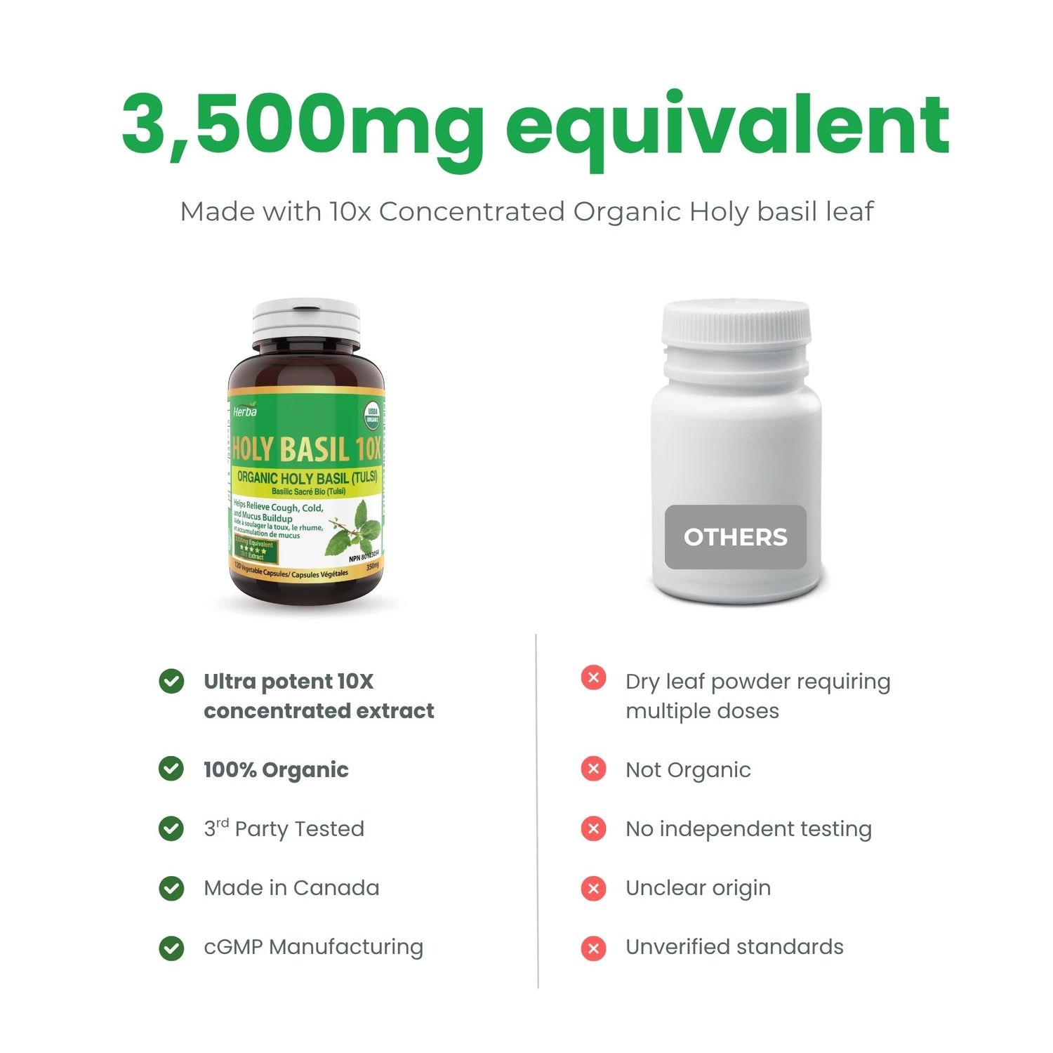 Capsules de basilic sacré biologique - 350mg | 120 capsules végétales