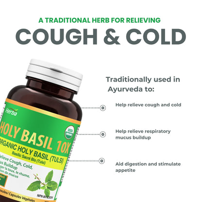 Organic Holy Basil Capsules – 350mg | 120 Vegetable Capsules