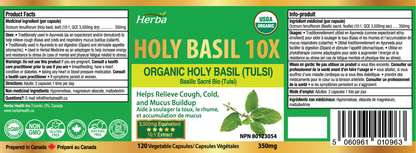Organic Holy Basil Capsules – 350mg | 120 Vegetable Capsules