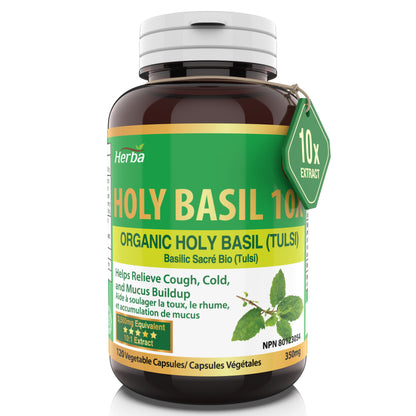 Organic Holy Basil Capsules – 350mg | 120 Vegetable Capsules