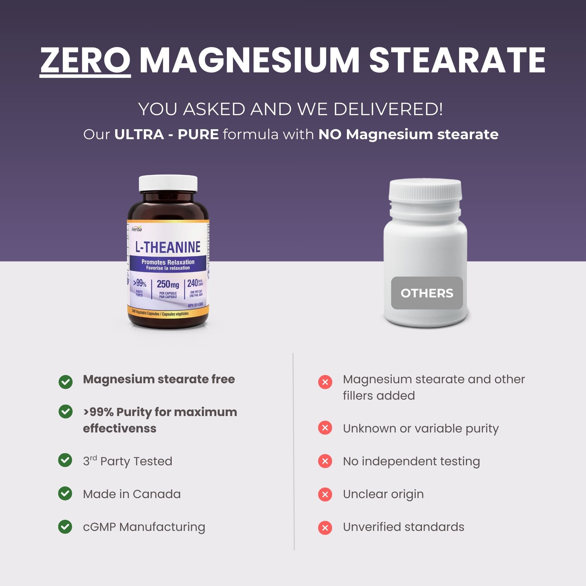 Supplément de L-Théanine 250mg – 240 Capsules | Favorise la relaxation sans somnolence | Approvisionnement de 8 mois | Fabriqué au Canada