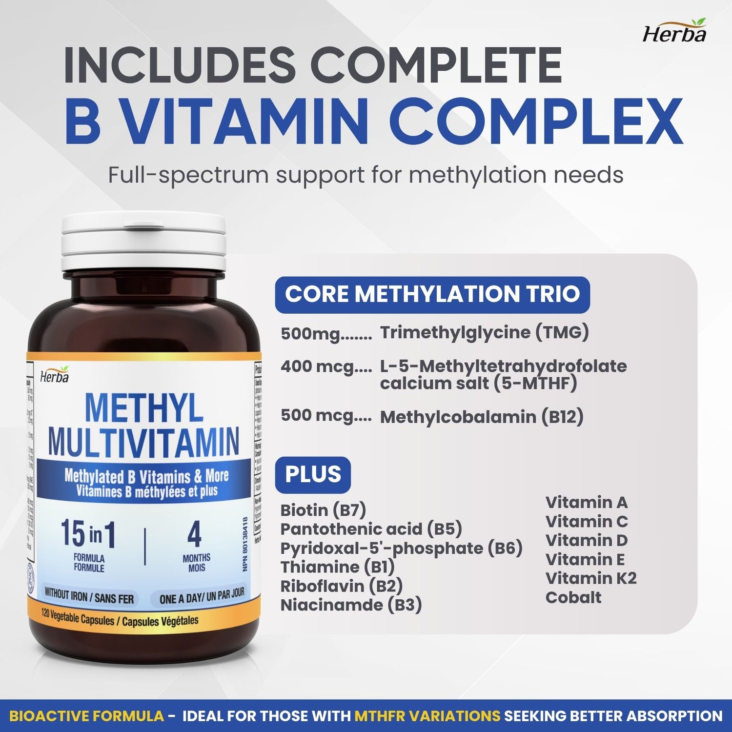 Methylated Multivitamin with TMG &amp; Full Methylated B Complex - 120 Capsules | 15 in 1 Formula | Made in Canada