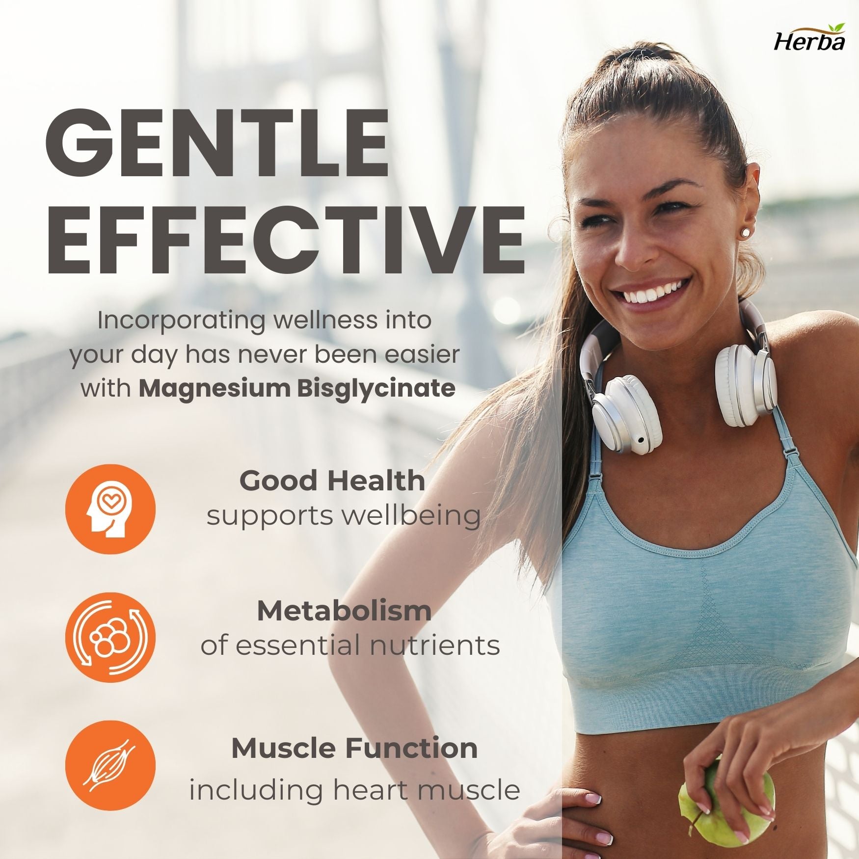 Bisglycinate de Magnésium 200mg - 240 Gélules Végétales