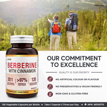 Supplément de Berbérine à la Cannelle de Ceylan – 120 Gélules | Bérberine 1000mg (par portion) | Fabriqué au Canada
