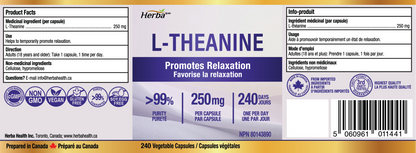 L-Theanine Supplement 250mg – 240 Capsules | Promotes Relaxation Without Drowsiness | 8 Month Supply | Made in Canada